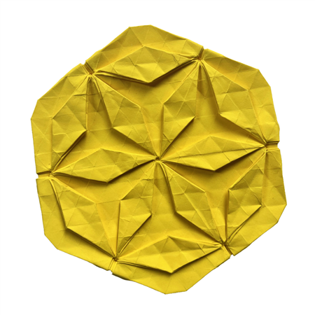 Lemon Slice
