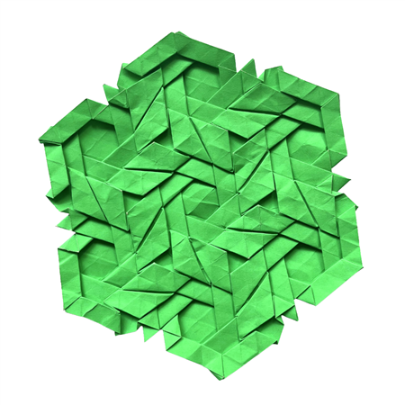 Xylem